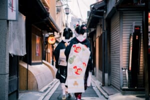 Blog Blog