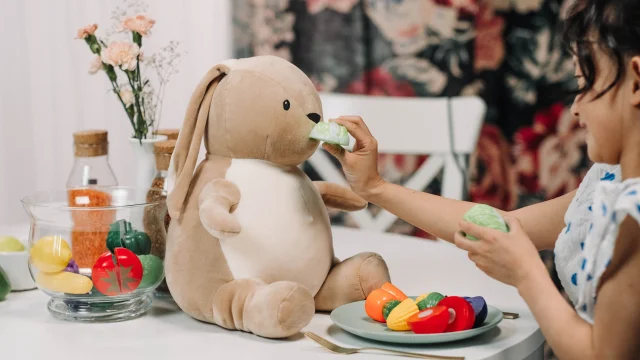Why Mascots should be part of your Japanese PR Campaign a pupular mascots