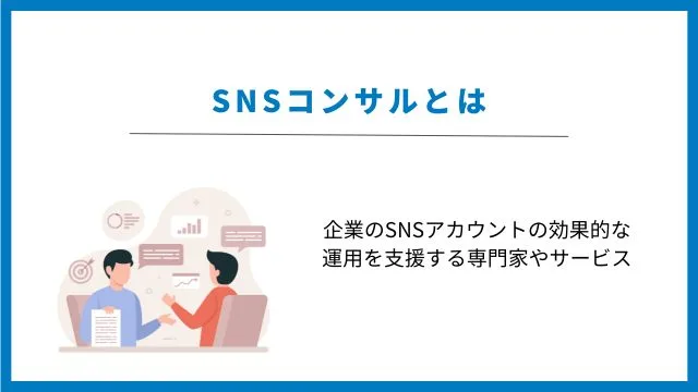 SNS コンサル　とは