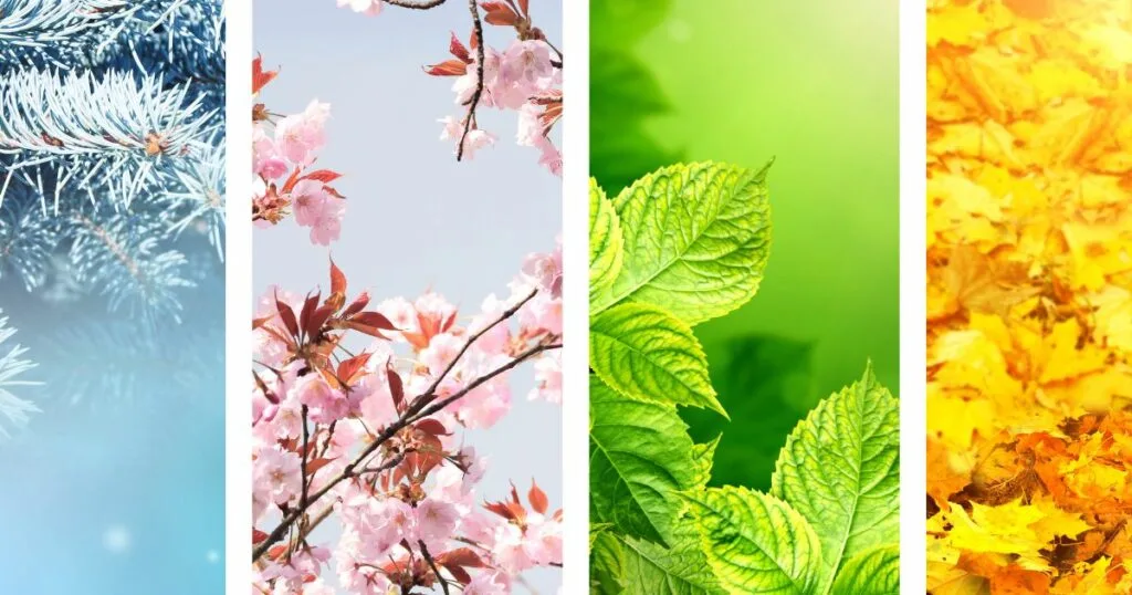 季節やトレンドを取り入れたネタ