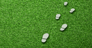 芝生と足跡